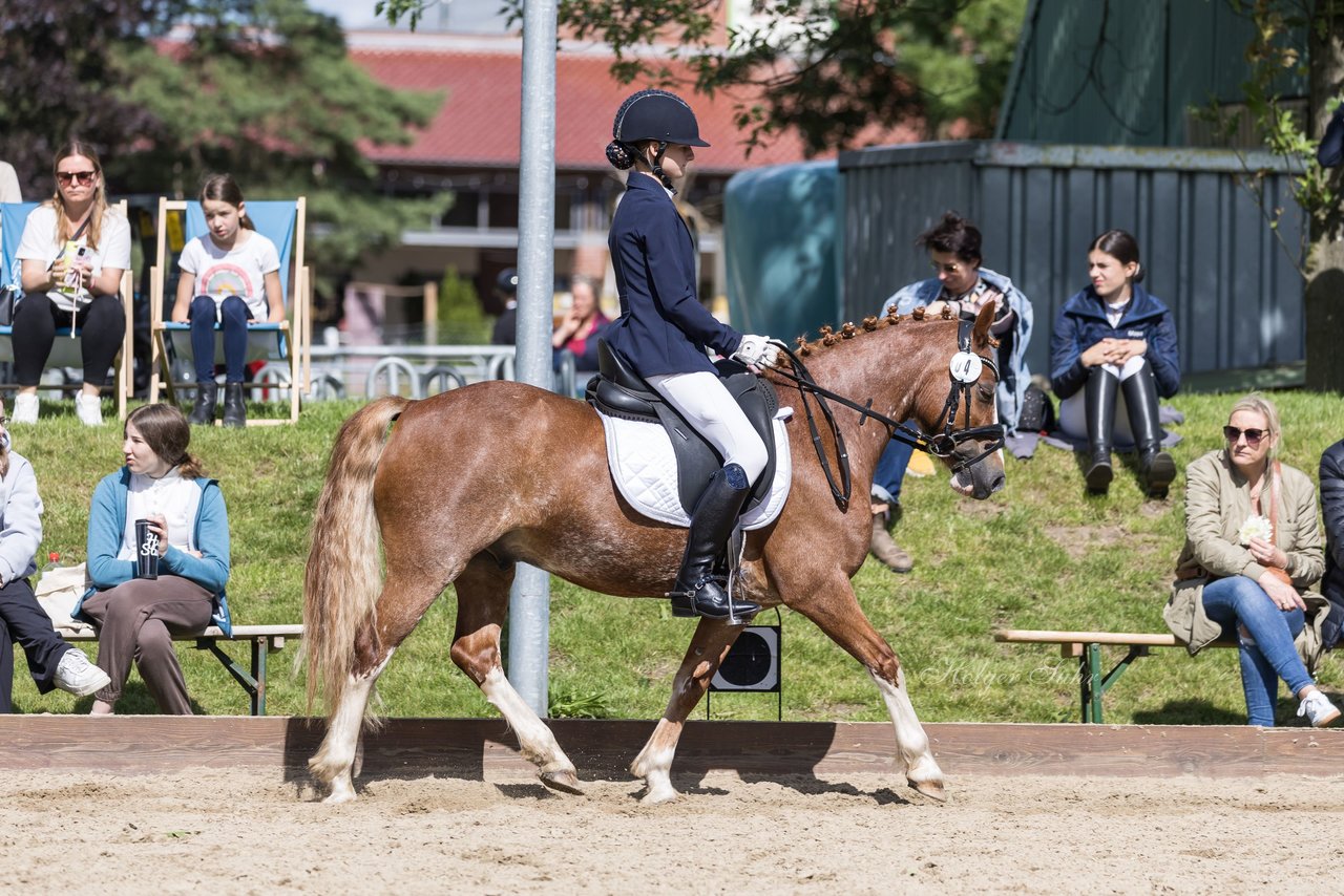 Bild 550 - Pony Akademie Turnier
